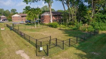 Dog park